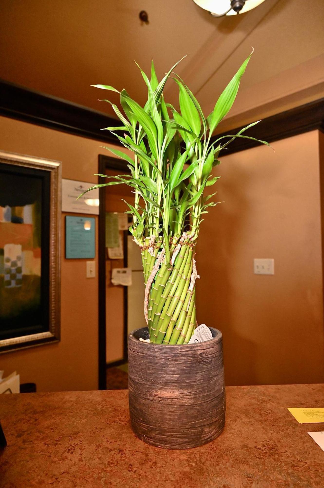 Fortune Inn & Suites Newport Bagian luar foto